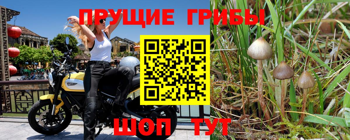 АМФЕТАМИН Арсеньев