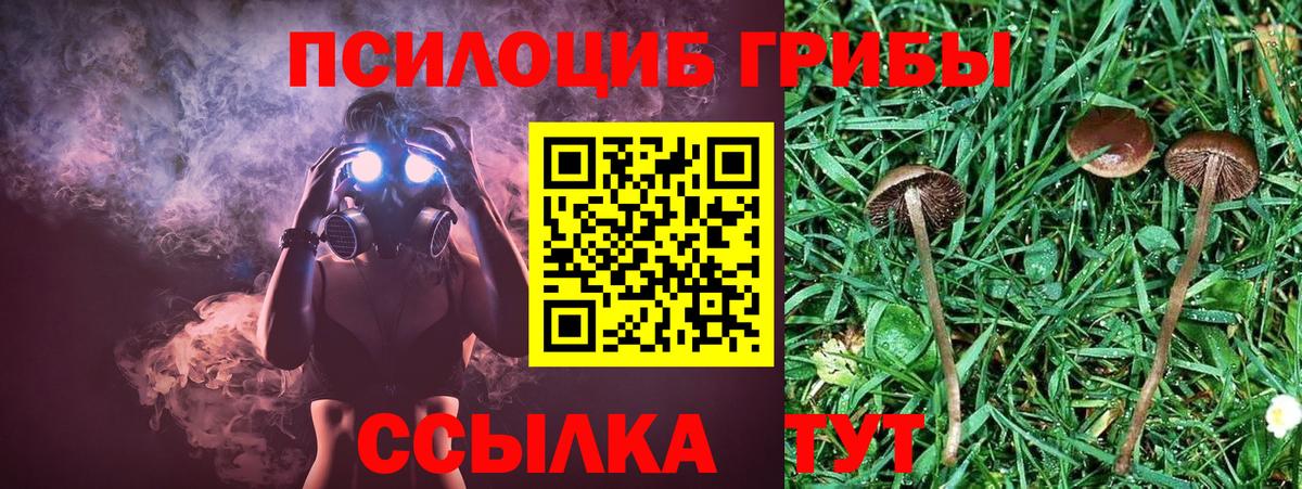 Арсеньев  как найти закладки  Вход с VPN  Псилоцибиновые грибы Magic Shrooms 