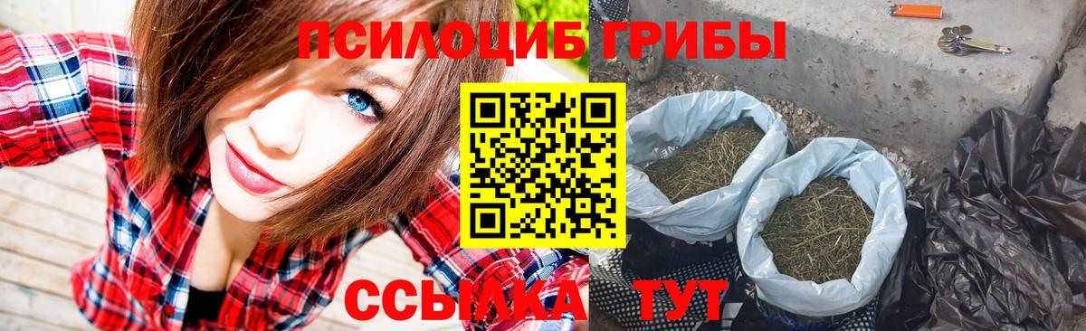 Псилоцибиновые грибы мицелий Арсеньев